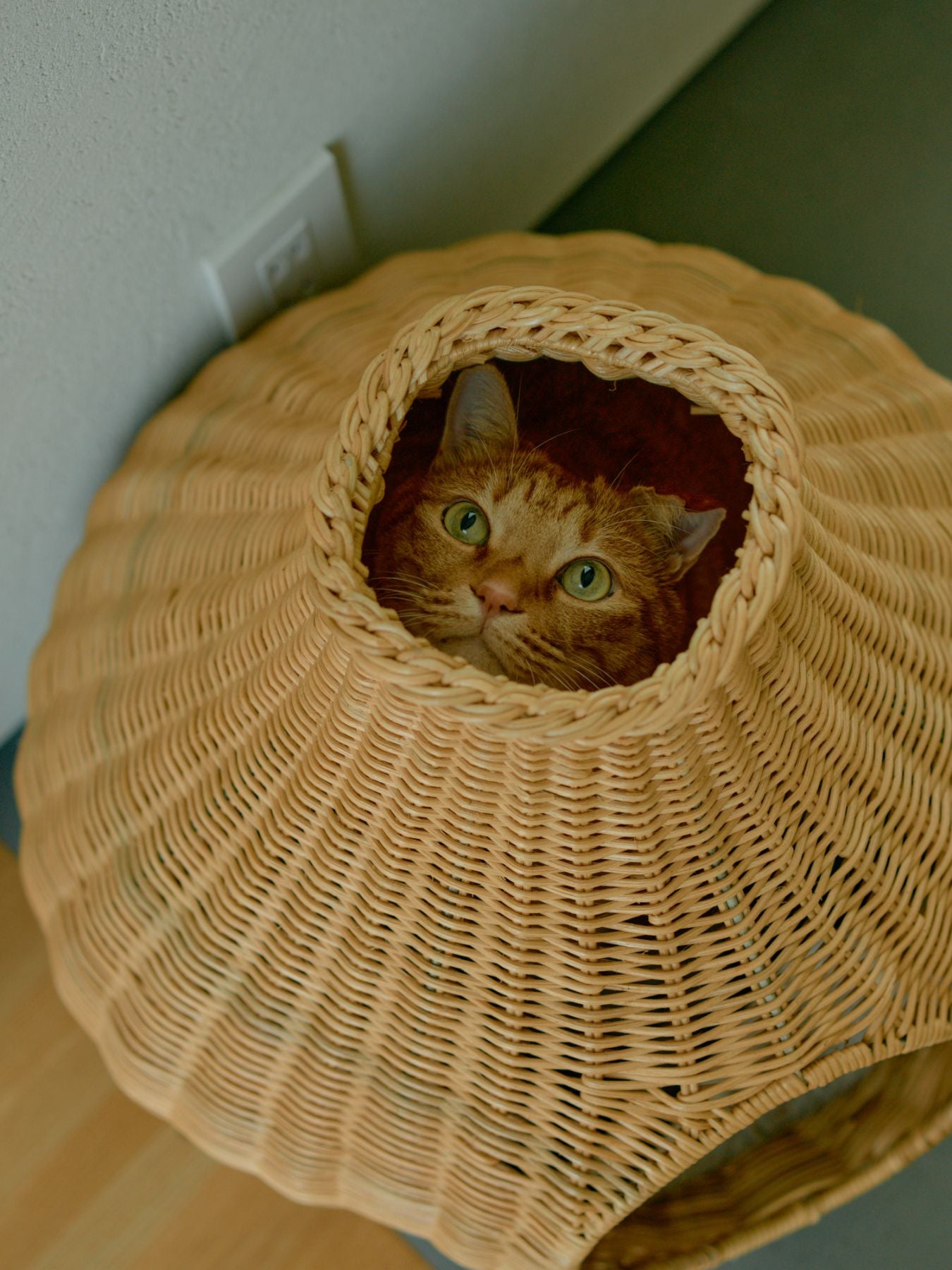 オルネコ・ガーリックネコハウス｜オルネコ（ベッド・ハウス）｜オルネ