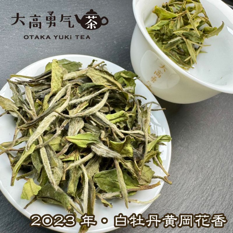 白茶・23年白牡丹・貢眉 - 大高中国茶専門店