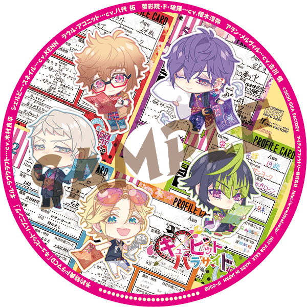 キュピパラ 特装版 缶バッジ 琉輝 13点 キュピパラ 特装版 缶バッジ