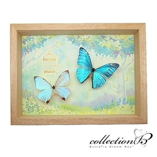 モルフォ蝶 羽根 羽アート 蝶額 昆虫標本 美術品 額縁 壁掛け