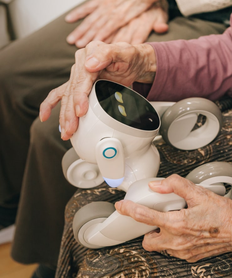 新品未開封】Loona (ルーナ) Blue ペットロボット Loona 公式サイト