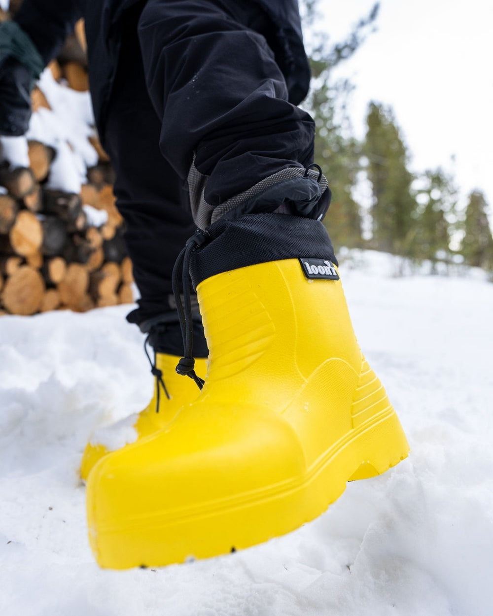 LO RIDER - Sunshine Daydream – Loon'r