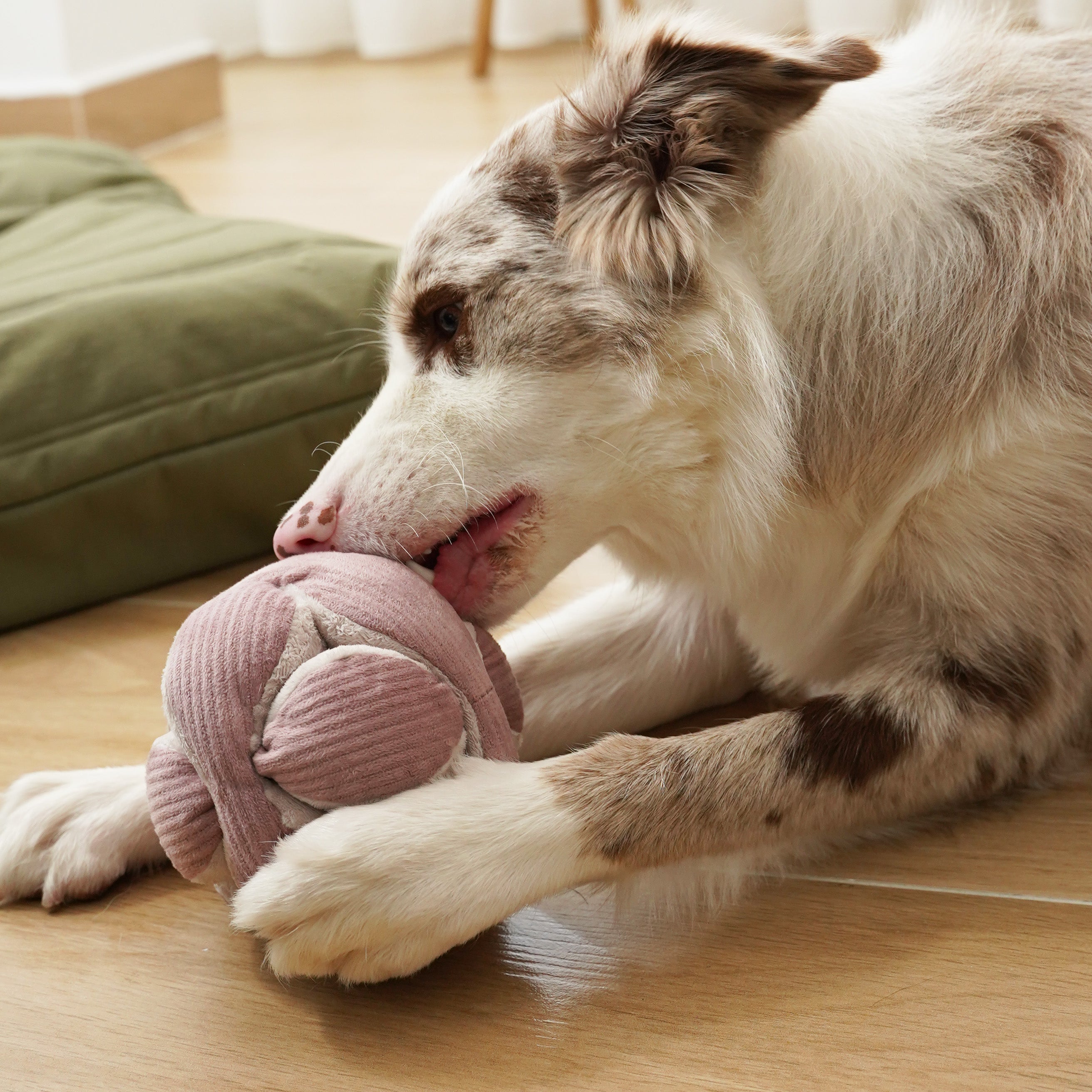 MONTI - S - Enrichment and Interactive Dog Toy | Puzzle Dog Toy