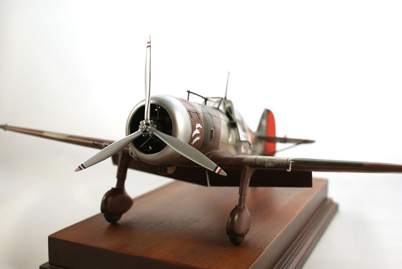Silver Wings 1/32 Fokker D.XXI | Large Scale Planes