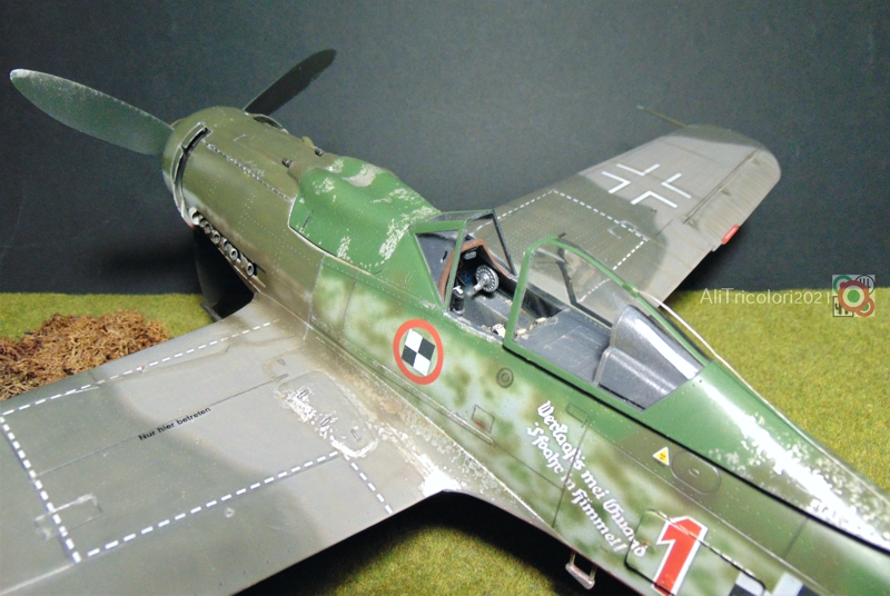 Trumpeter 1/24 Focke-Wulf Fw 190D-9 | Large Scale Planes