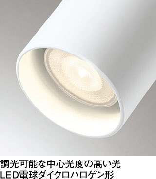 ODELIC オーデリック スポットライト OS256487 | 商品紹介 | 照明器具