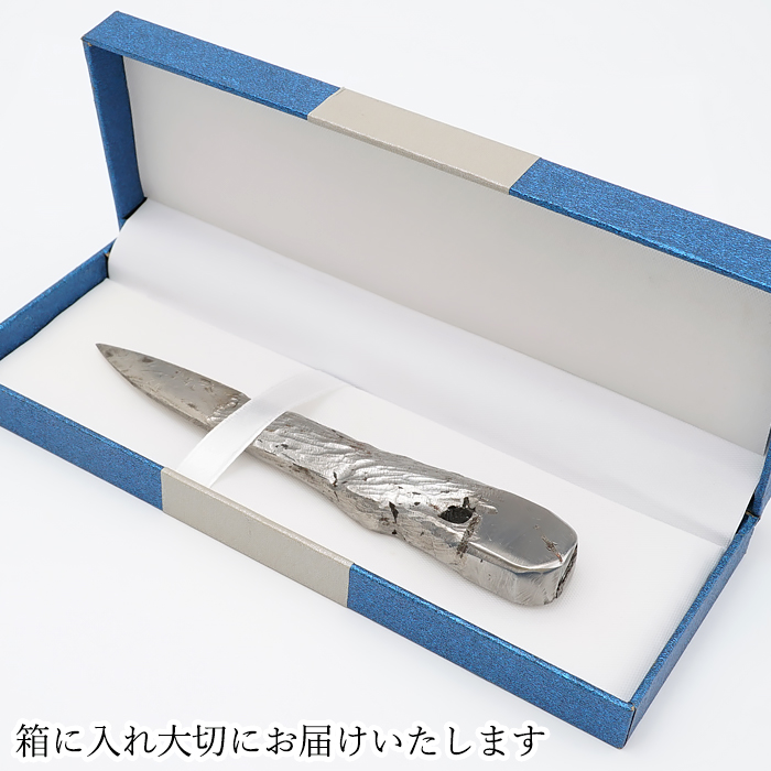 宇宙 ギャラクシー 星 鉄隕石 しんきょういんせき カマサイト