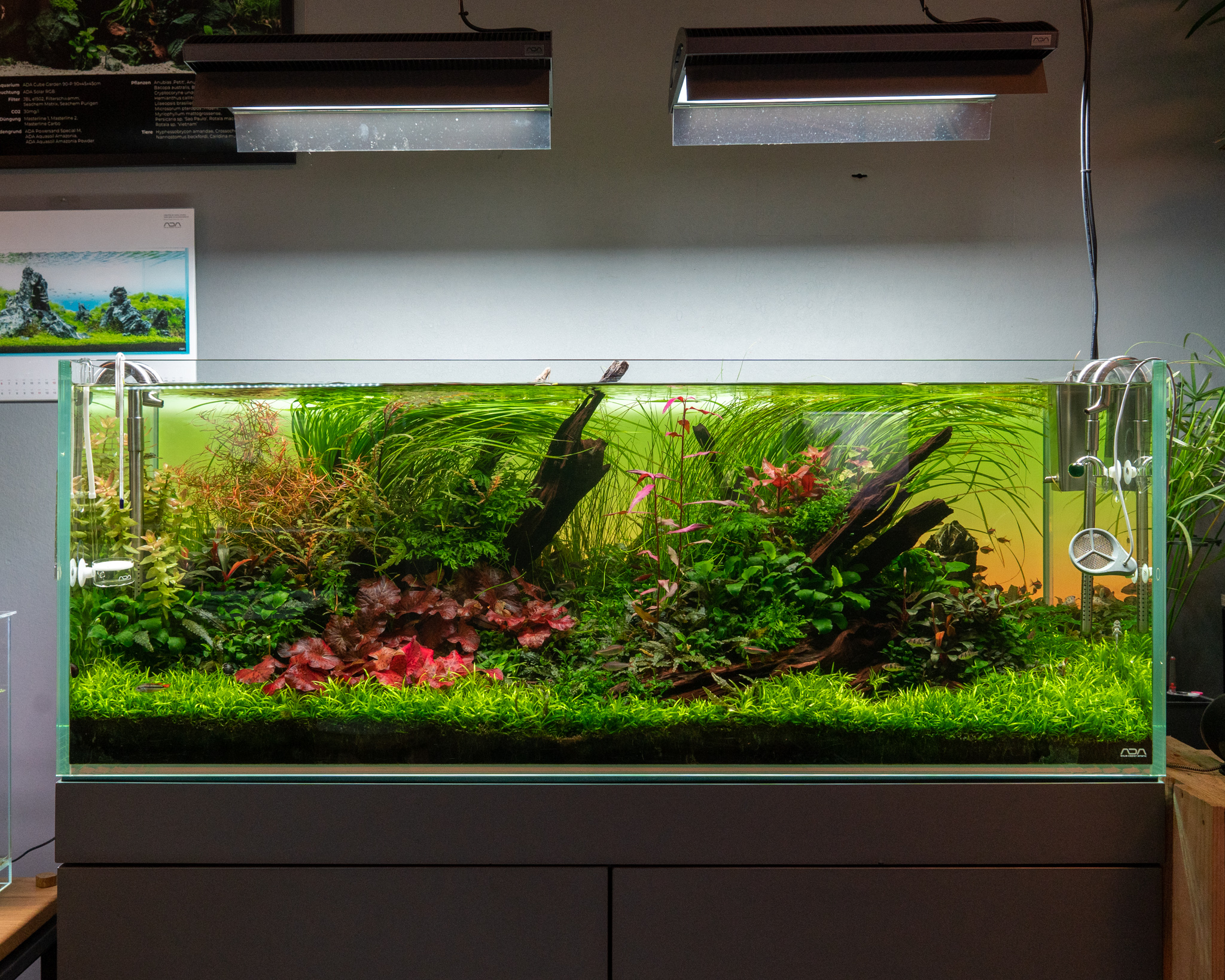 ADA ソーラーⅠ☆アクアデザイン アマノ☆メタルハライドランプ☆水草