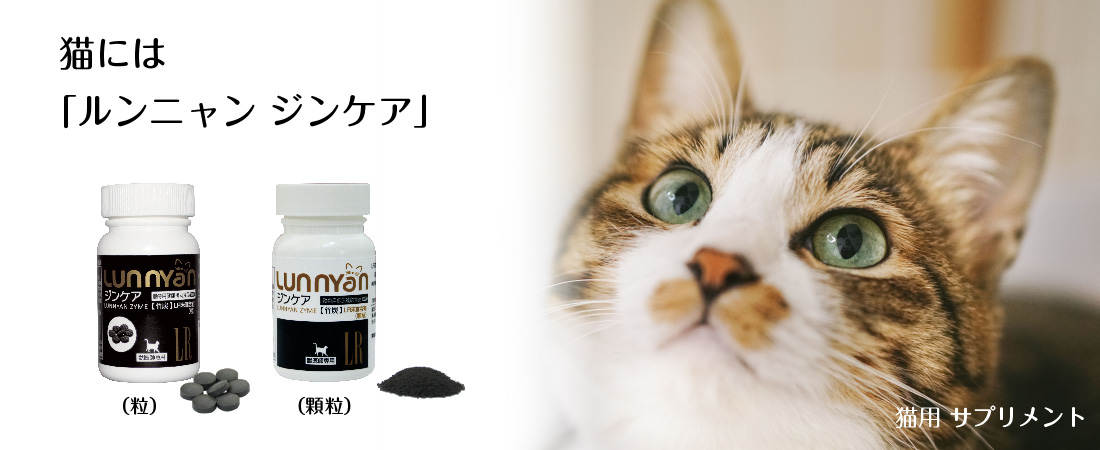 ルンワン粒公式ホームページ-（株）シナプス