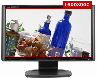 iiyama ProLite E2008HDS-B / PLE2008HDS-B1