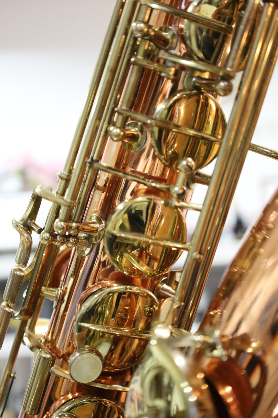 Buffet Crampon S1 Prestige - 管楽器を深く楽しむ人へ｜MOUTON STORE