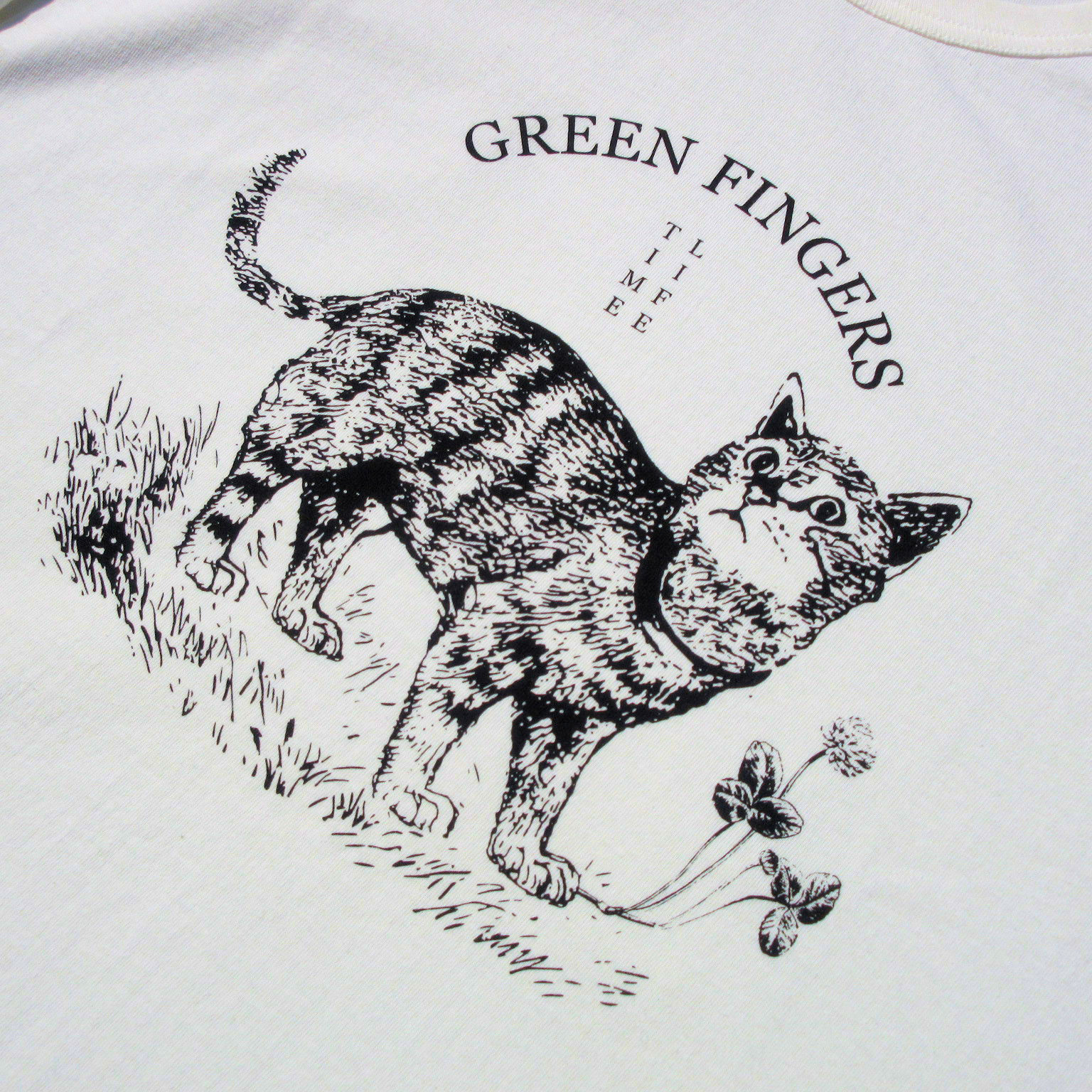 レア ジェリー鵜飼×タコマフジレコード DRIVE 2019 キャンバスアート