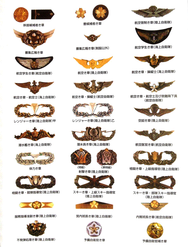 防衛記念章 4段 12個 防衛省自衛隊第5級第12号
