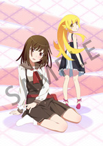 Blu-ray&DVD ｜＜物語＞シリーズ セカンドシーズン