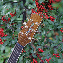 M-51/51GT | 生産完了品 | MORRIS GUITARS モーリスギター