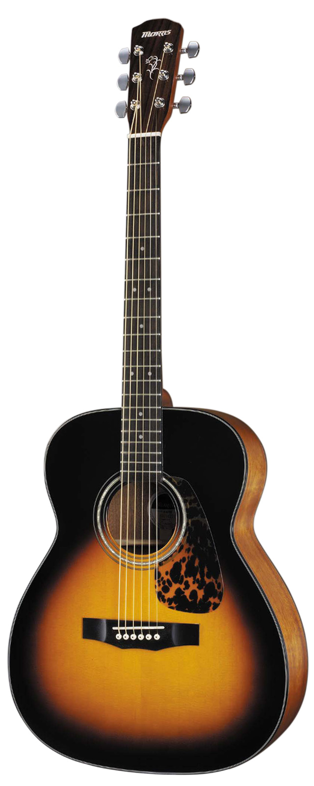 アコースティックギター Morris F-12 11D製 1974年生産品