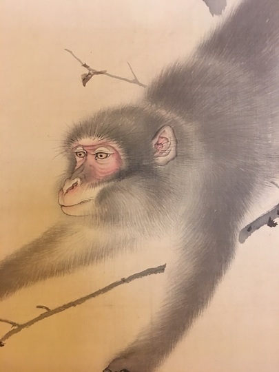 Mori Tetsuzan monkey｜Matsumoto Shoeido | Japanese Paintings and