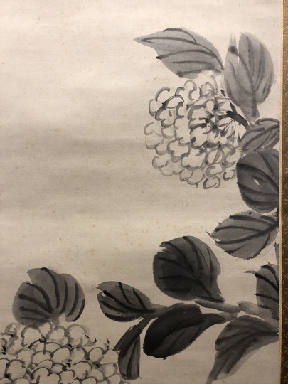 岡田半江 紫陽花図｜古美術・掛け軸の販売・買取・鑑定-松本松栄堂