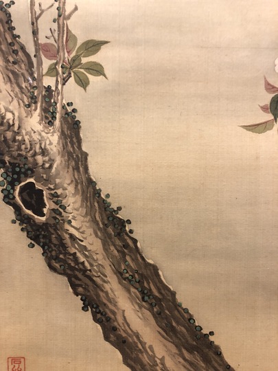 真作/柴田義董/月下秋草図/山水風月図/花鳥図/花図/名家伝来/AE-223 真