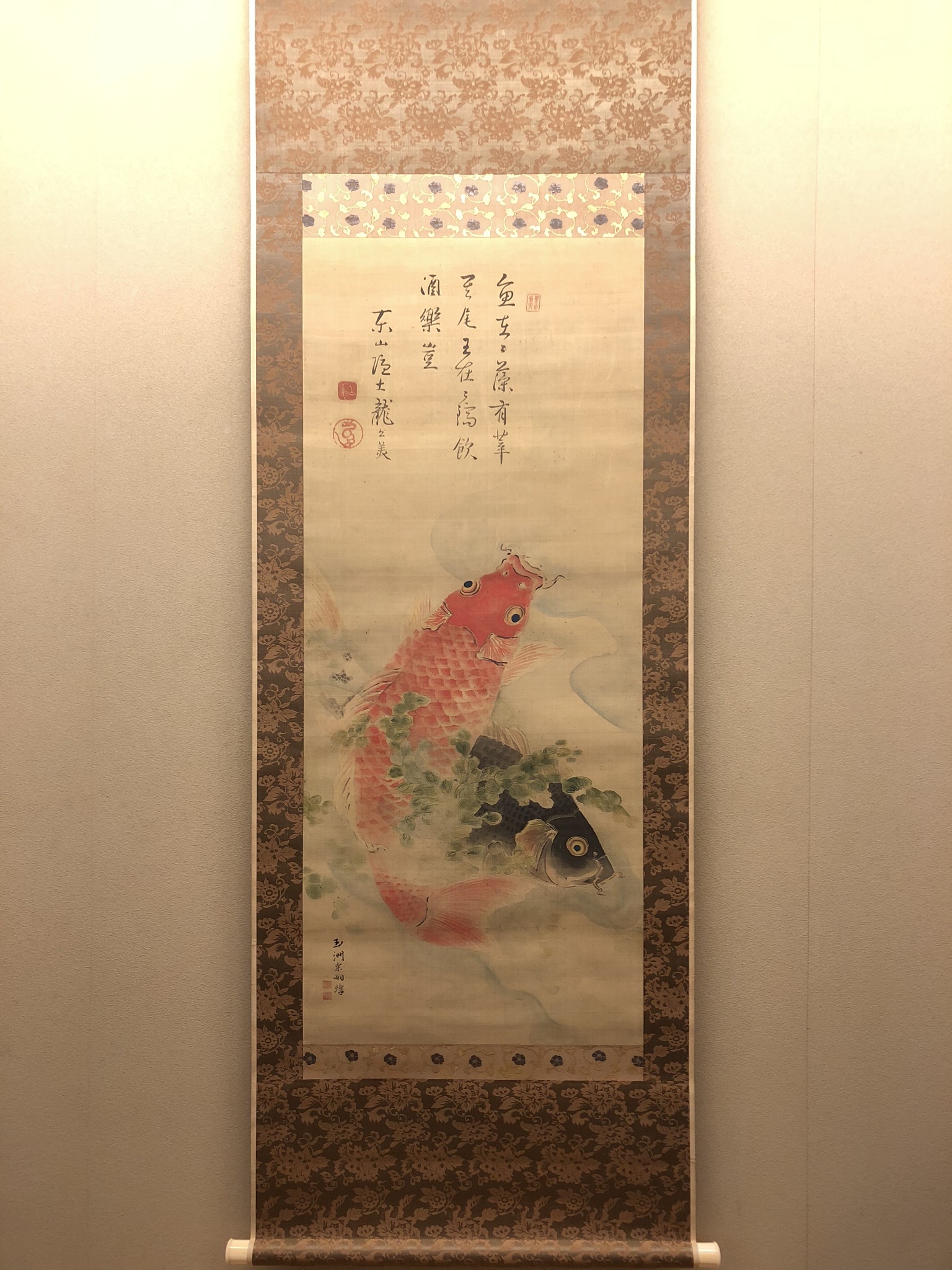 真作「名品希少大作」掛け軸 鯉の光達 森田光達(雙鯉・識箱)