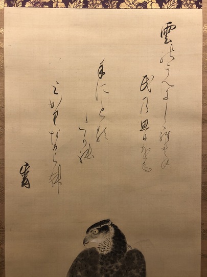 掛け軸、鷹に梅の図 掛け軸、鷹に梅の図 掛け軸、鷹に梅の図 Mori