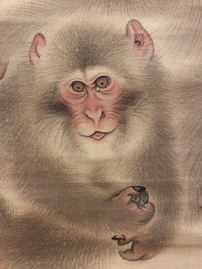 森祖仙 猿候図｜古美術・掛け軸の販売・買取・鑑定-松本松栄堂