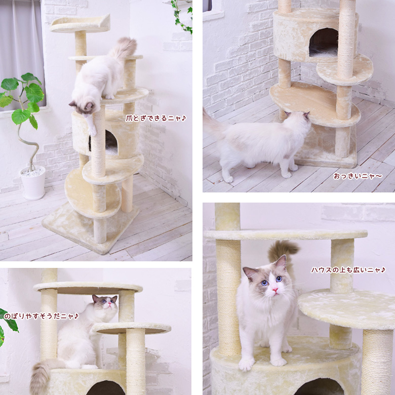 Mauタワー リッチエッグ 据え置き（中型・大型） キャットタワー専門店Mau