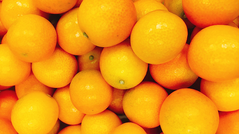 有)松田農場公式Webサイト