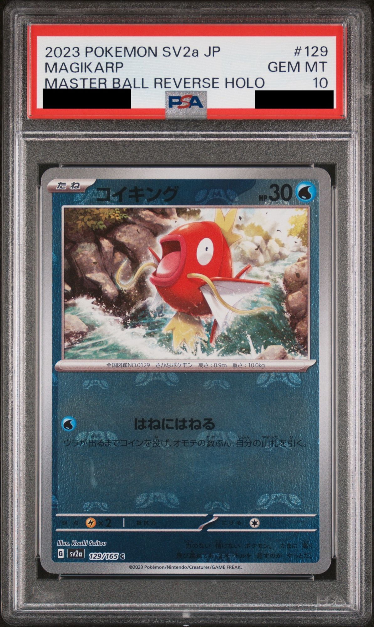 PSA10】コイキングar PSA10 コイキングar