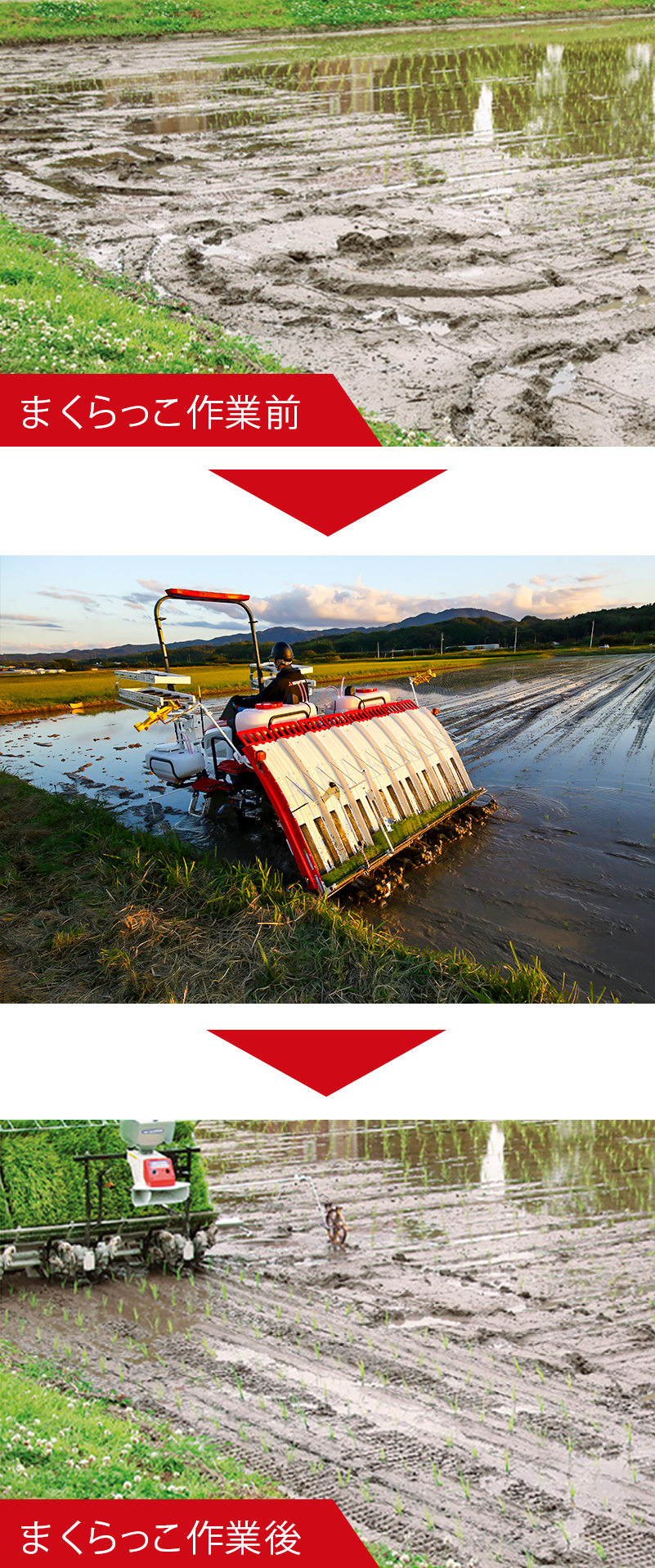 砕米 23kg 【飼料用】※説明欄必読 砕米 23kg 【飼料用】※説明欄必読