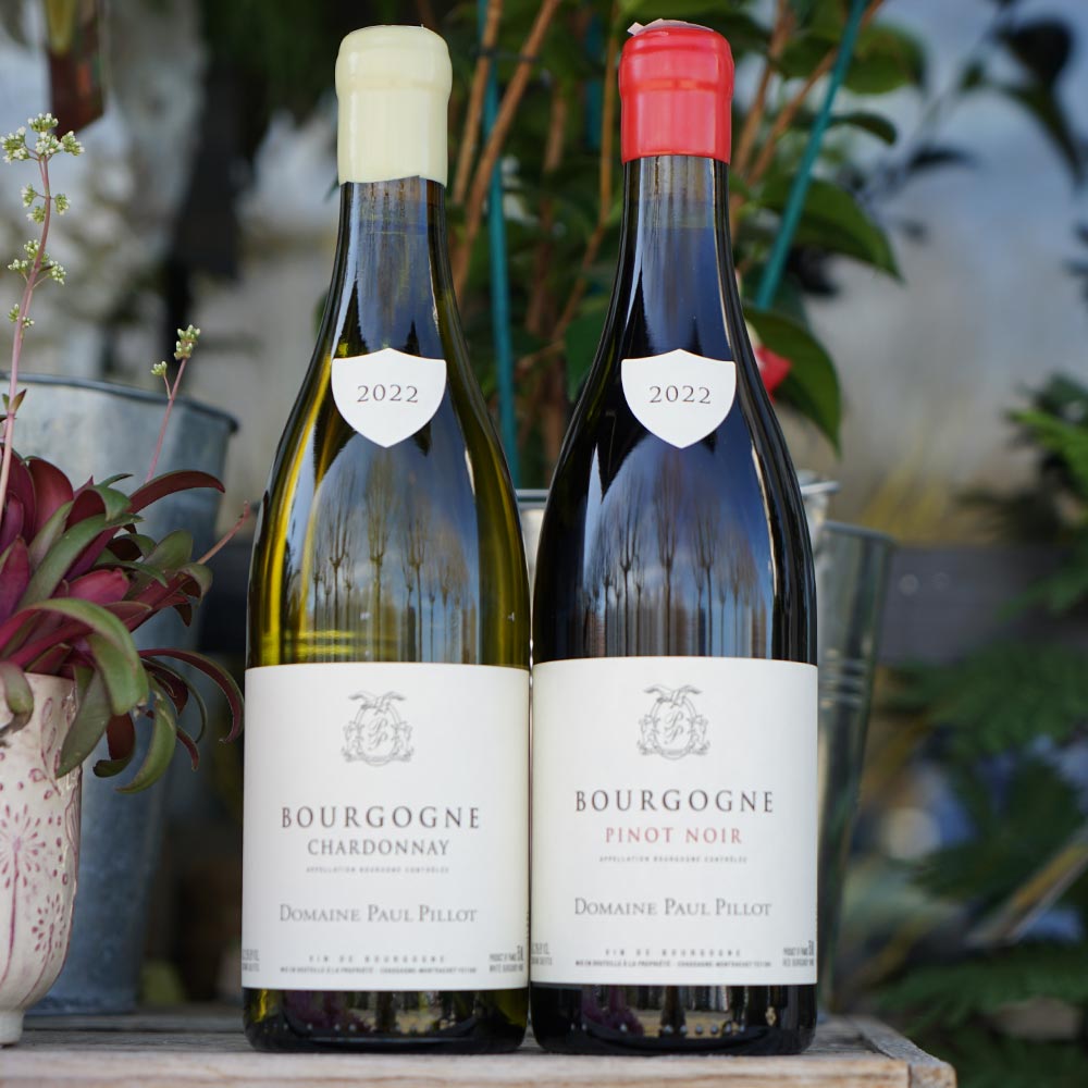 Bourgogne Pinot Noir 2022 - Paul Pillot - Marée Haute Vins Naturels