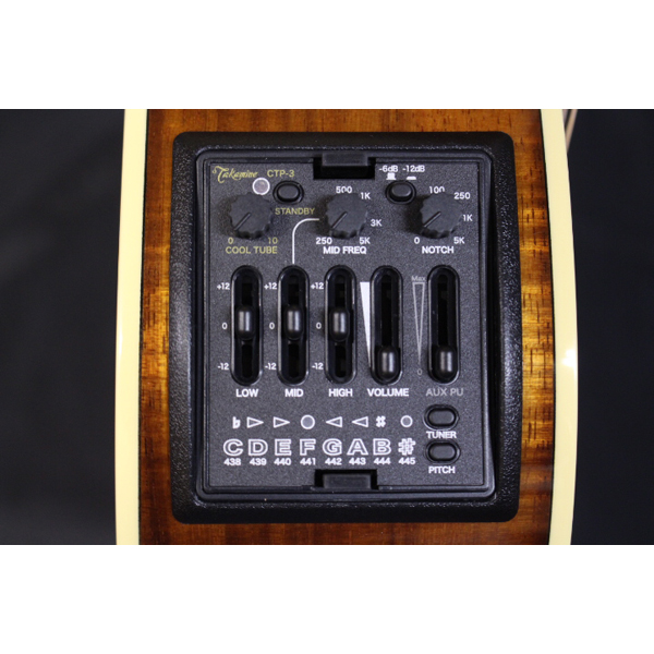 年末・年始・現品限り特割セール Takamine(タカミネ) TDP531KC N