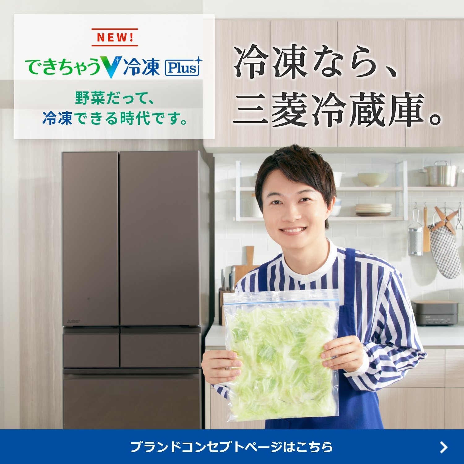 600 三菱 大型冷蔵庫 335L 300L強 家庭用 格安 自動製氷 600 三菱 大型