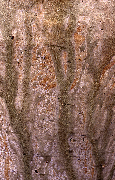 古瀬戸自然灰秞下陰花文水滴 古瀬戸自然灰秞下陰花文水滴 瀬戸 灰釉四耳壺