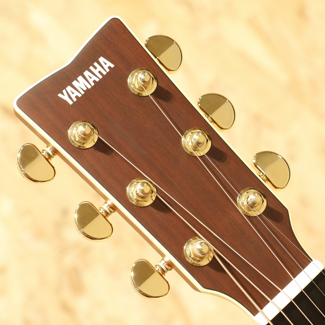 LS16 ARE NAT 2024: アコースティックギター｜三木楽器公式通販サイト