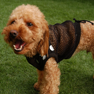 ラグランタンク・ラグランワンピ｜犬服無料型紙・作り方通販 milla milla