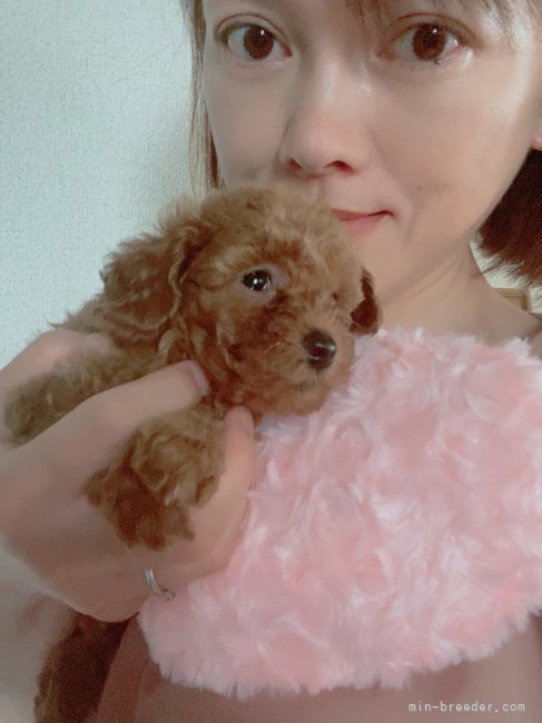 岩手】竹澤 まり(たけさわ まり)ブリーダー｜みんなのブリーダー