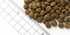 フィッシュ4ドッグ パピー（子犬用） 【送料無料】｜みんなのペット