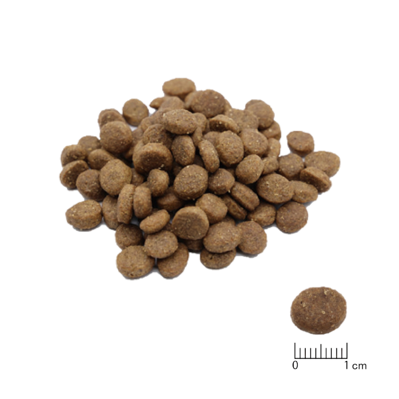 Vet Solution（ベッツソリューション）犬用 皮膚サポート｜みんなの