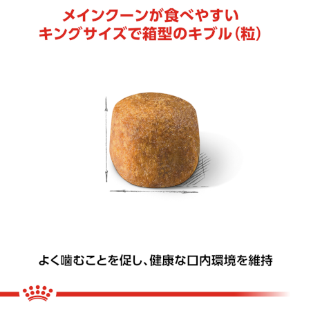 ロイヤルカナン FBN メインクーン （成猫用） 【送料無料】｜みんなの