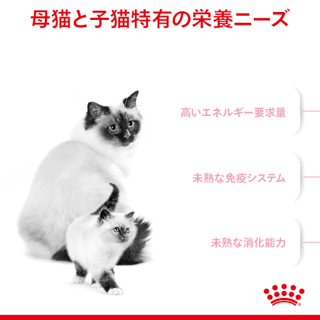 ロイヤルカナン FHN マザー&ベビーキャット（子猫・母猫用） 【送料