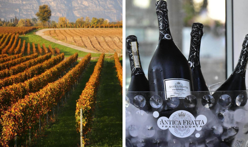 アンティカ フラッタ フランチャコルタ エッセンス サテンの通信販売