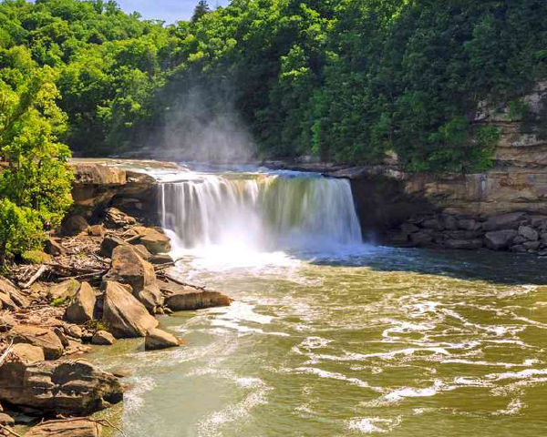 ブラントン ブラックの通信販売 バーボンウイスキー