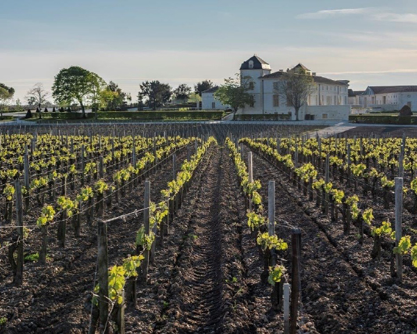 ル マルキ ド カロン セギュール 格付け第3級セカンドの通信販売