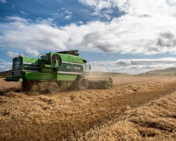 キルホーマン ロッホゴルム 2024 エディションの通信販売 スコッチ