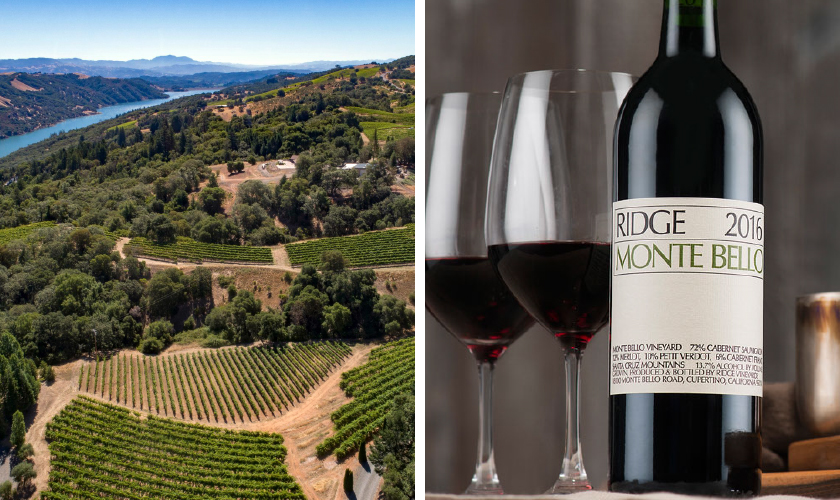 リッジ ヴィンヤーズ エステートシャルドネ 正規の通信販売