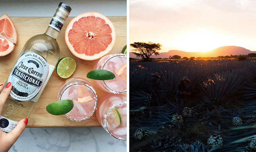 クエルボ アネホ 1800の通信販売 テキーラ