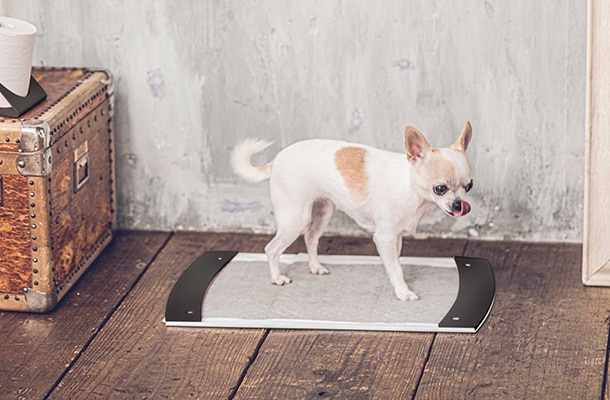 pecolo(ペコロ) トイレトレー ホワイト ワイドサイズ 最 安 価格