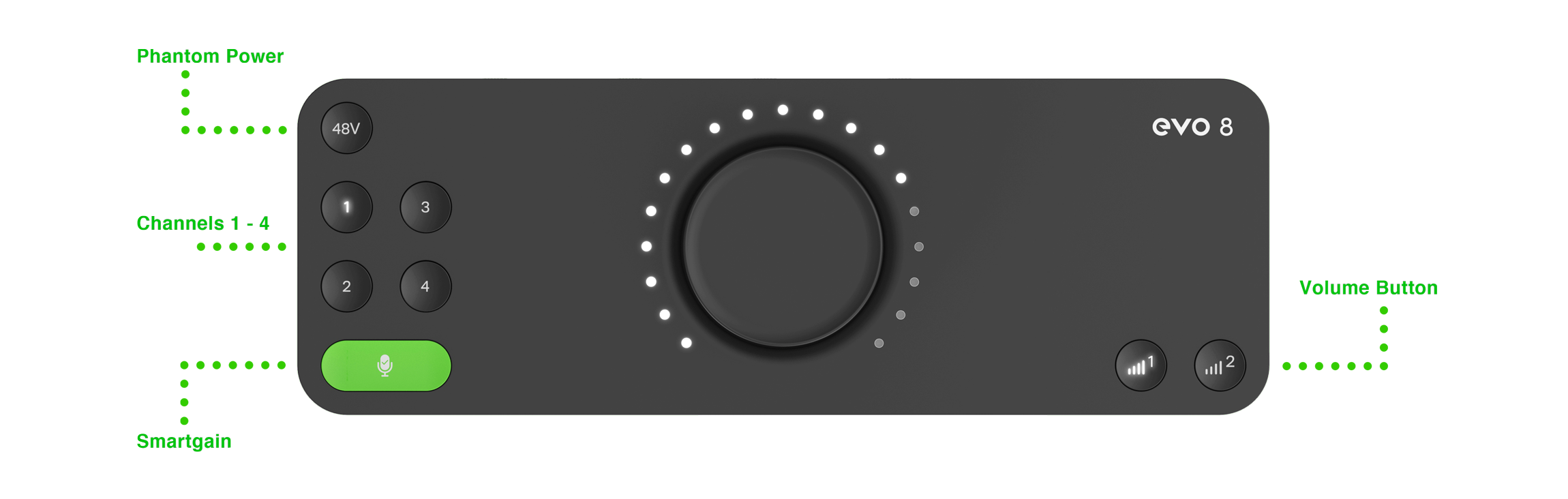 audient(オーディエント) EVO 8 | Rock oN Line eStore