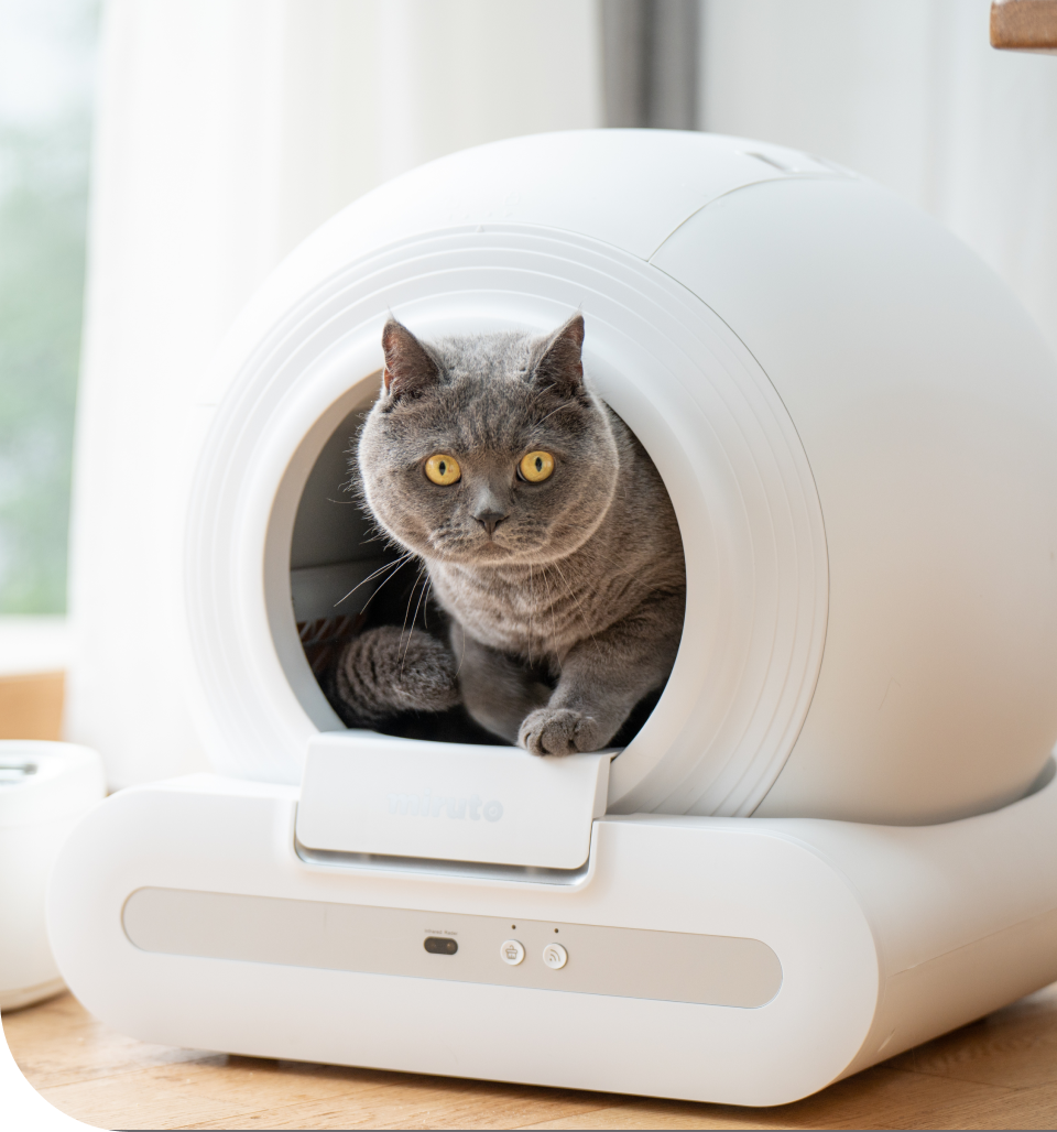 CATLINK 自動猫トイレ 自動猫用トイレ CATLINK SCOOPER PRO ステップ